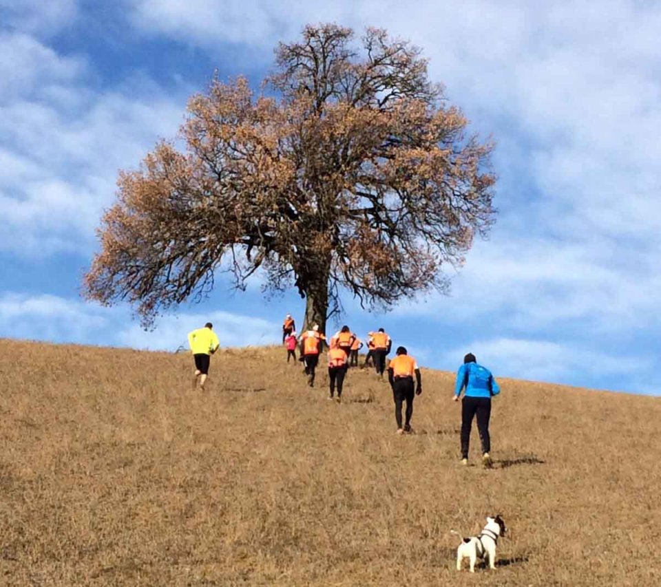 Un passaggio suggestivo del trofei trail malaspina