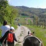 La fattoria didattica di Valli Unite propone una gita “a dorso d’asino”