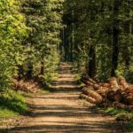 Un altro passo verso il Parco Naturale dell’Alta Val Borbera