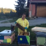 I danni del maltempo all’apicoltura