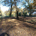 Riprendono i lavori di sistemazione del Parco dello Scrivia