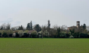 Rosano, il gioiello nascosto di Casalnoceto