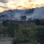 Incendio boschivo a Monleale, a rischio la biodiversità del nostro territorio