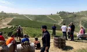 Cinque vini da scoprire in provincia di Alessandria