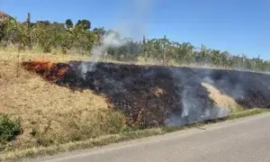 Ancora incendi sui Colli Tortonesi: due episodi in due giorni