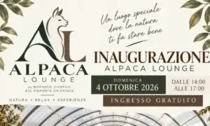 Nasce l’Alpaca Lounge del Bioparco Cinofilo del Piemonte Orientale